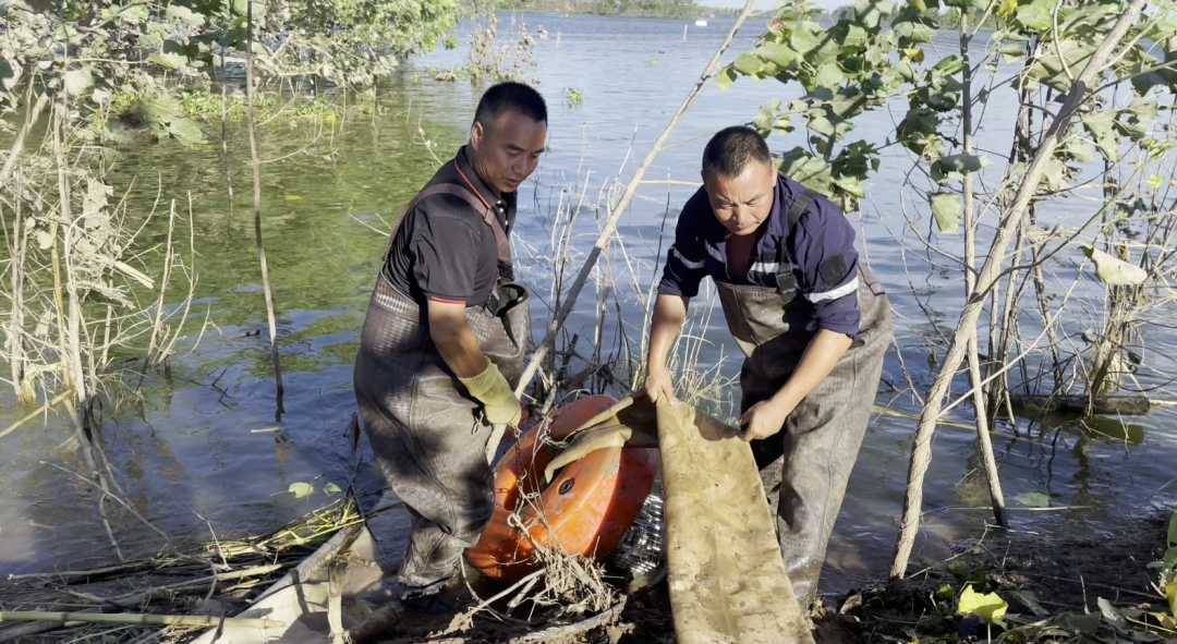 2025020519305623.png 7.png