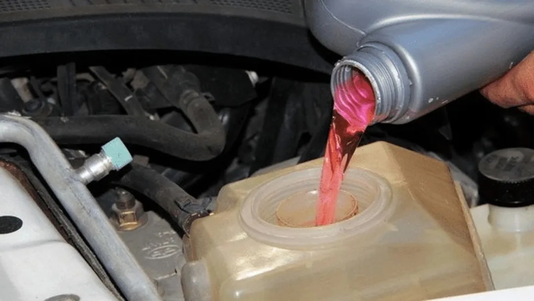 2025020651936587.jpg 4.webp.jpg